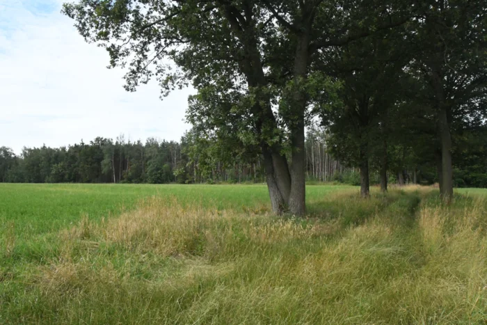Foto Parkplatz neu (hinterm Gaudlitzberg) | © BFF2024_DAV-Leipzig