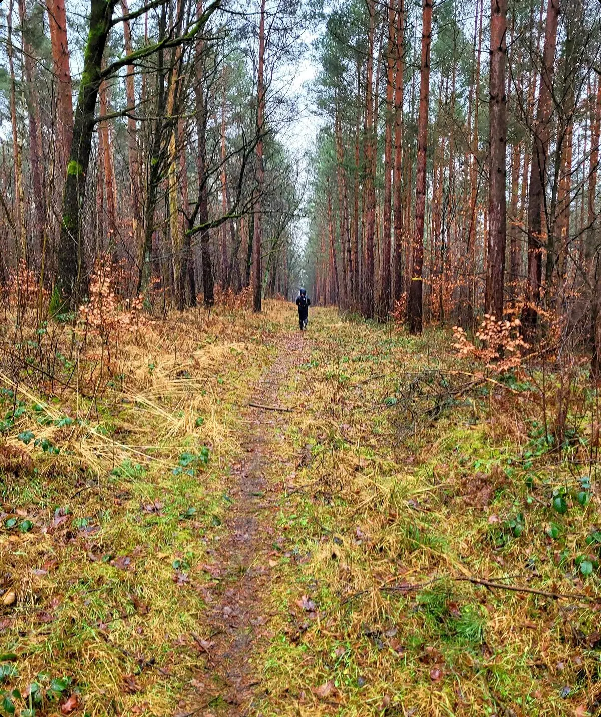 Flinke Füße | © Christian Eichfeld (DAV Leipzig)