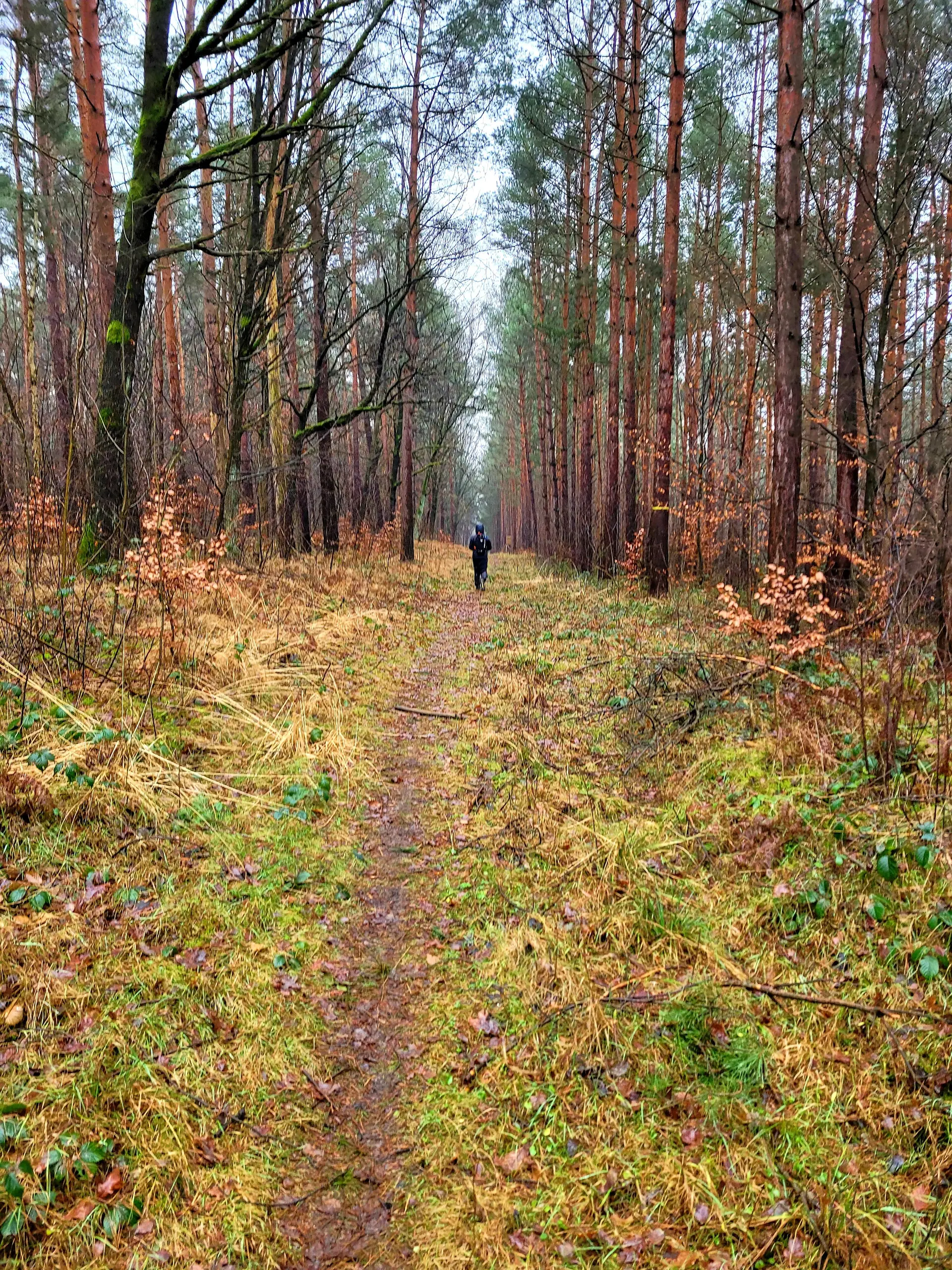 Flinke Füße | © Christian Eichfeld (DAV Leipzig)