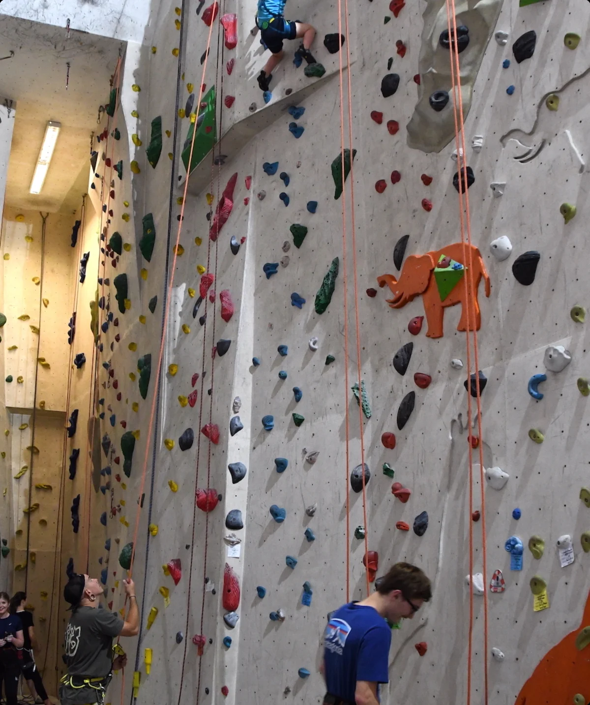 Paraclimbing Kletterhalle No Limit | © DAV Leipzig / Simone Zimmermann