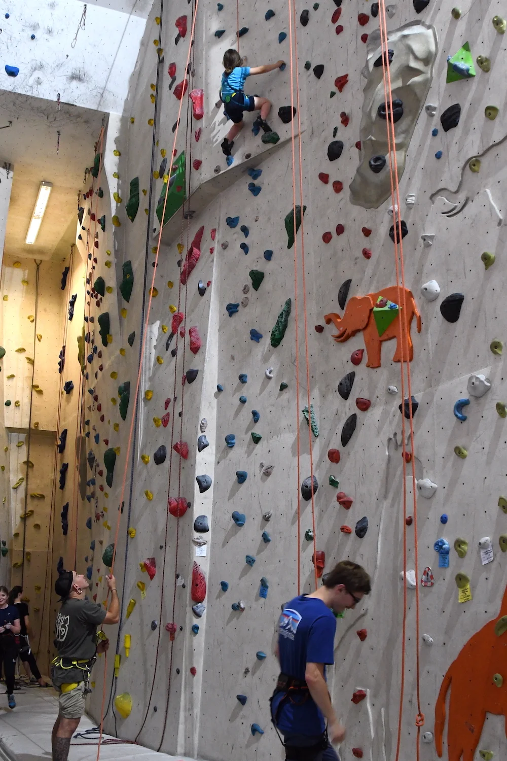 Paraclimbing Kletterhalle No Limit | © DAV Leipzig / Simone Zimmermann