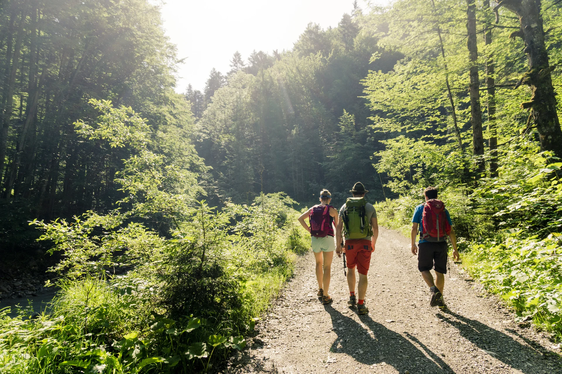 Wandern in den Chiemgauer Bergen | © DAV/Hans Herbig Drei Wanderer auf einem Bergpfad in den Chiemgauer Alpen | © DAV/Hans Herbig