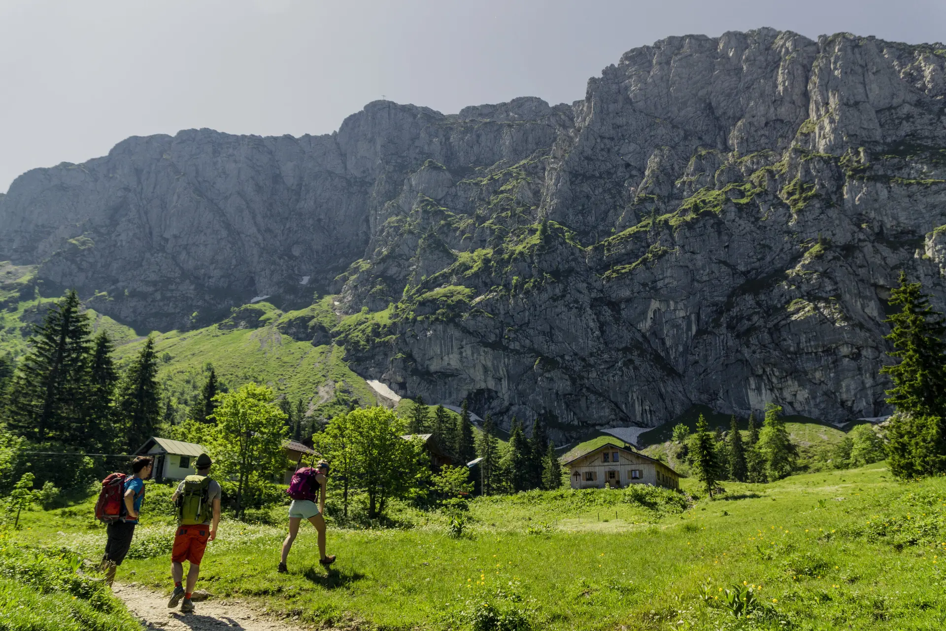 Drei Wanderer auf den grünen Berghängen der Chiemgauer Alpen | © DAV/Hans Herbig